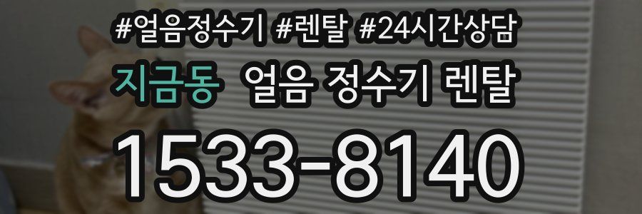 지금동 얼음 정수기 렌탈