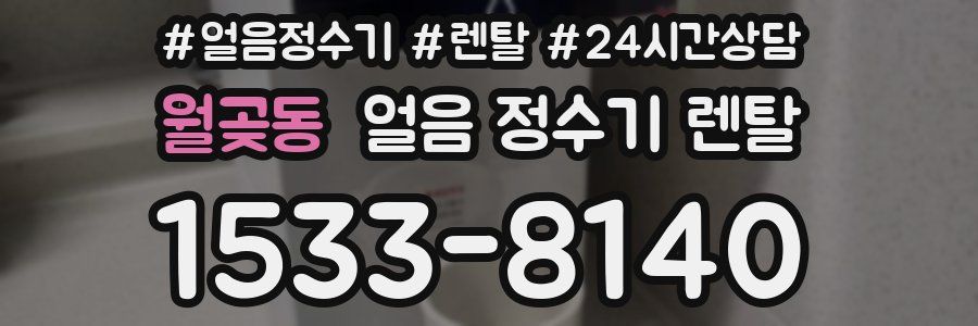 월곶동 얼음 정수기 렌탈