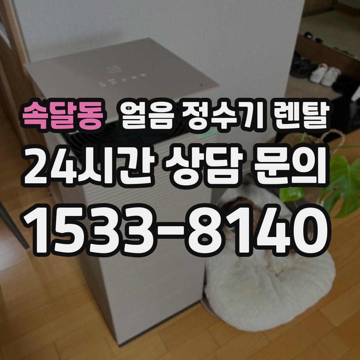 속달동 얼음 정수기 렌탈