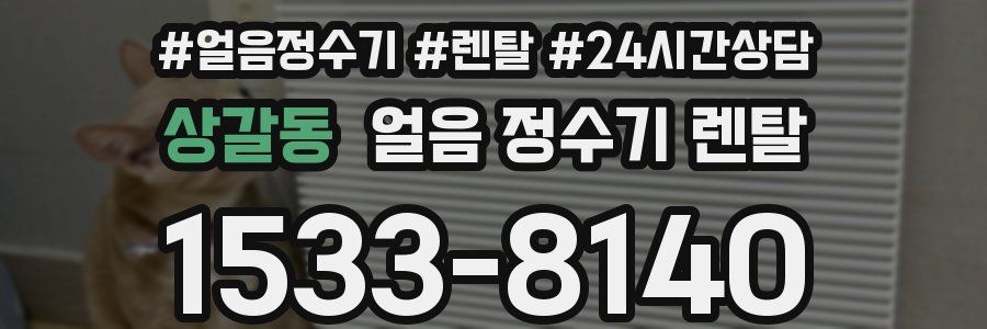 상갈동 얼음 정수기 렌탈