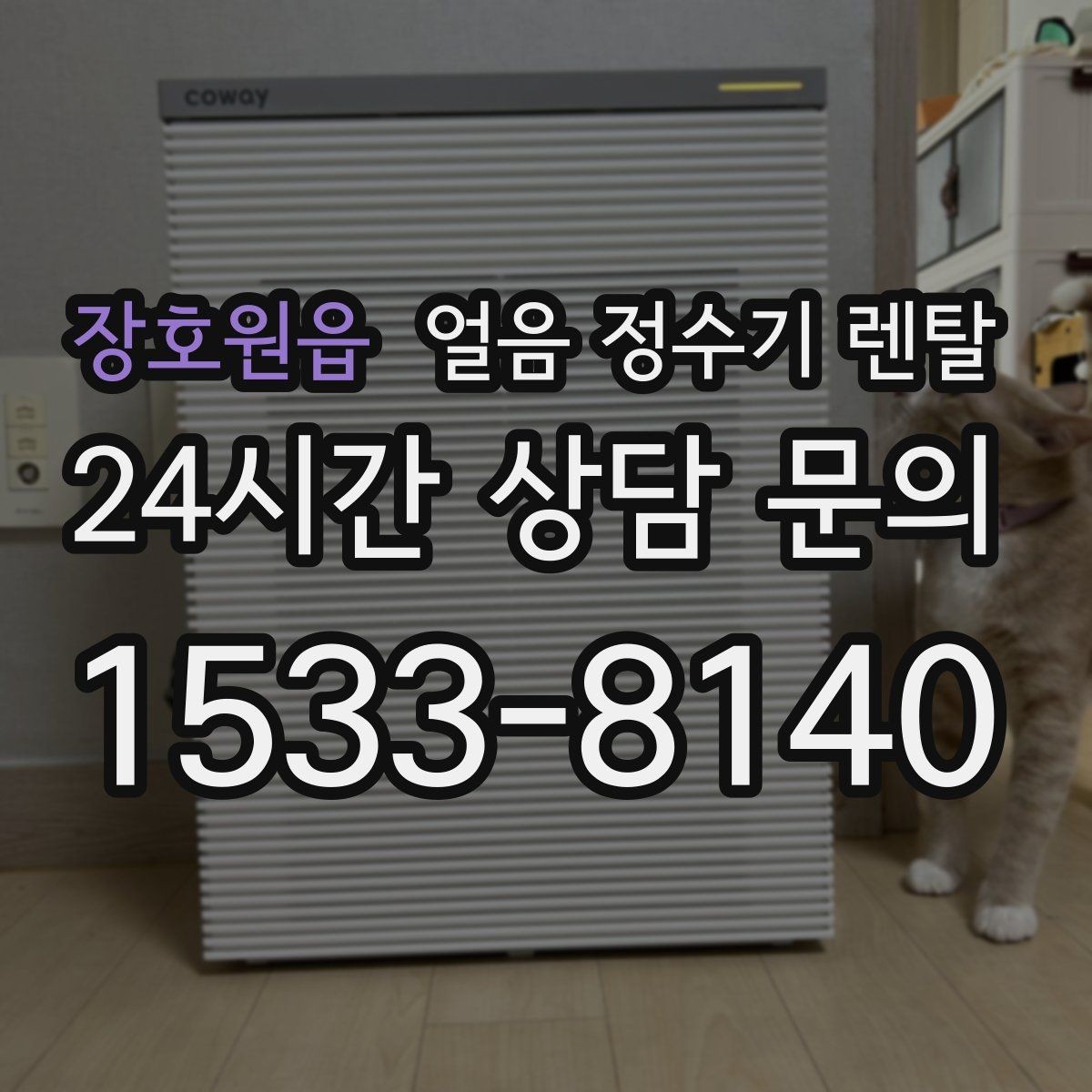 장호원읍 얼음 정수기 렌탈 햇빛 열기 많은 곳을 피해야 하는 이유