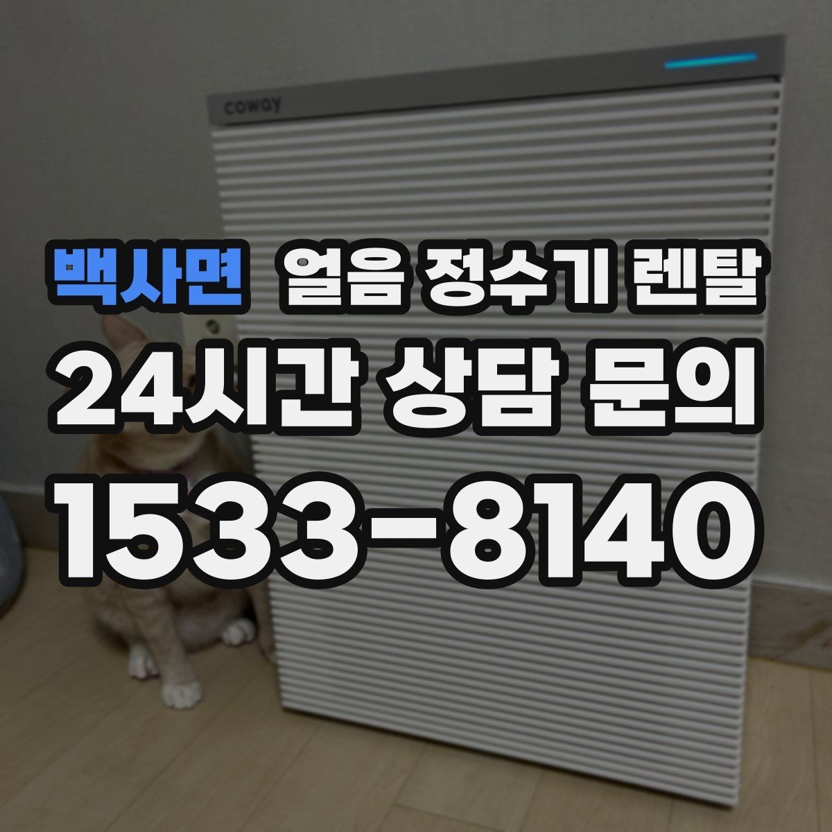 백사면 얼음 정수기 렌탈 제빙부 청소 주기 놓치면 생기는 문제