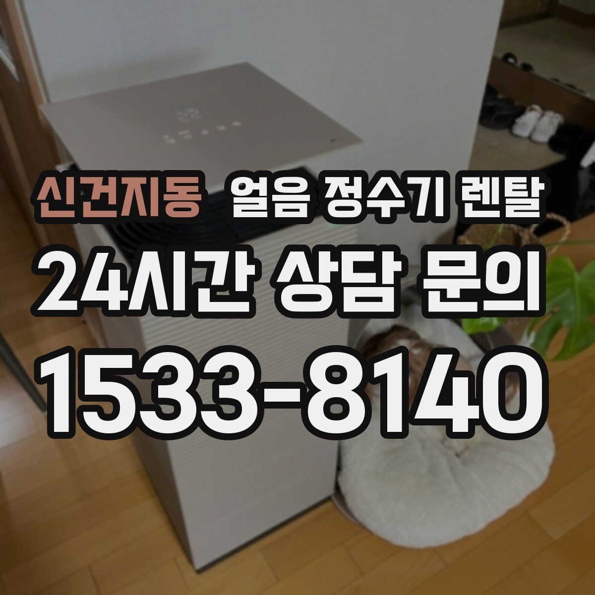 신건지동 얼음 정수기 렌탈