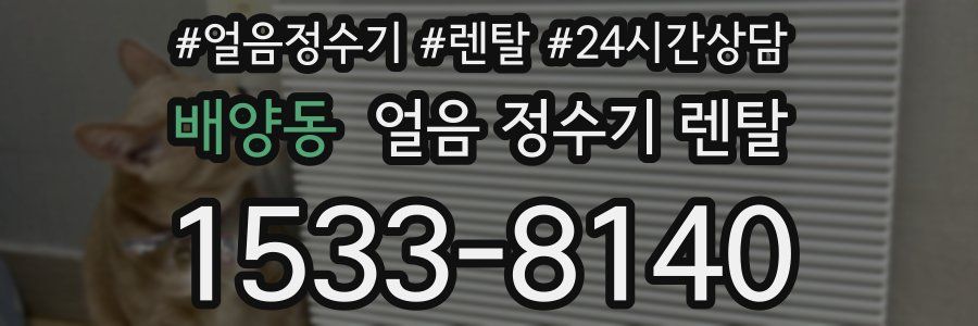 배양동 얼음 정수기 렌탈