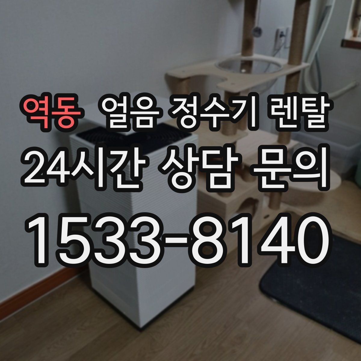 역동 얼음 정수기 렌탈 얼음 크기 선택이 음료 맛을 바꾸는 이유