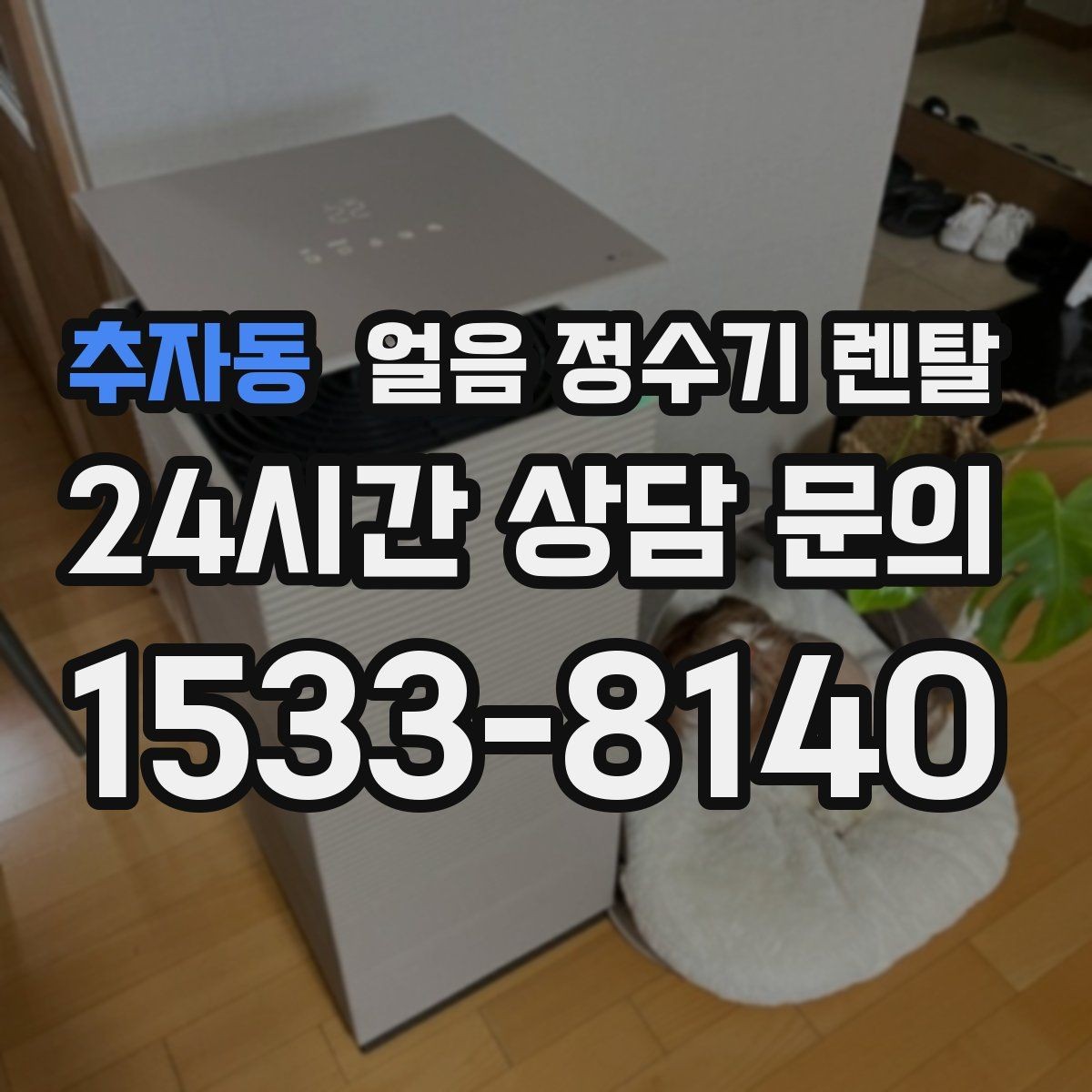 추자동 얼음 정수기 렌탈 얼음 기능이 꼭 필요한 생활 패턴