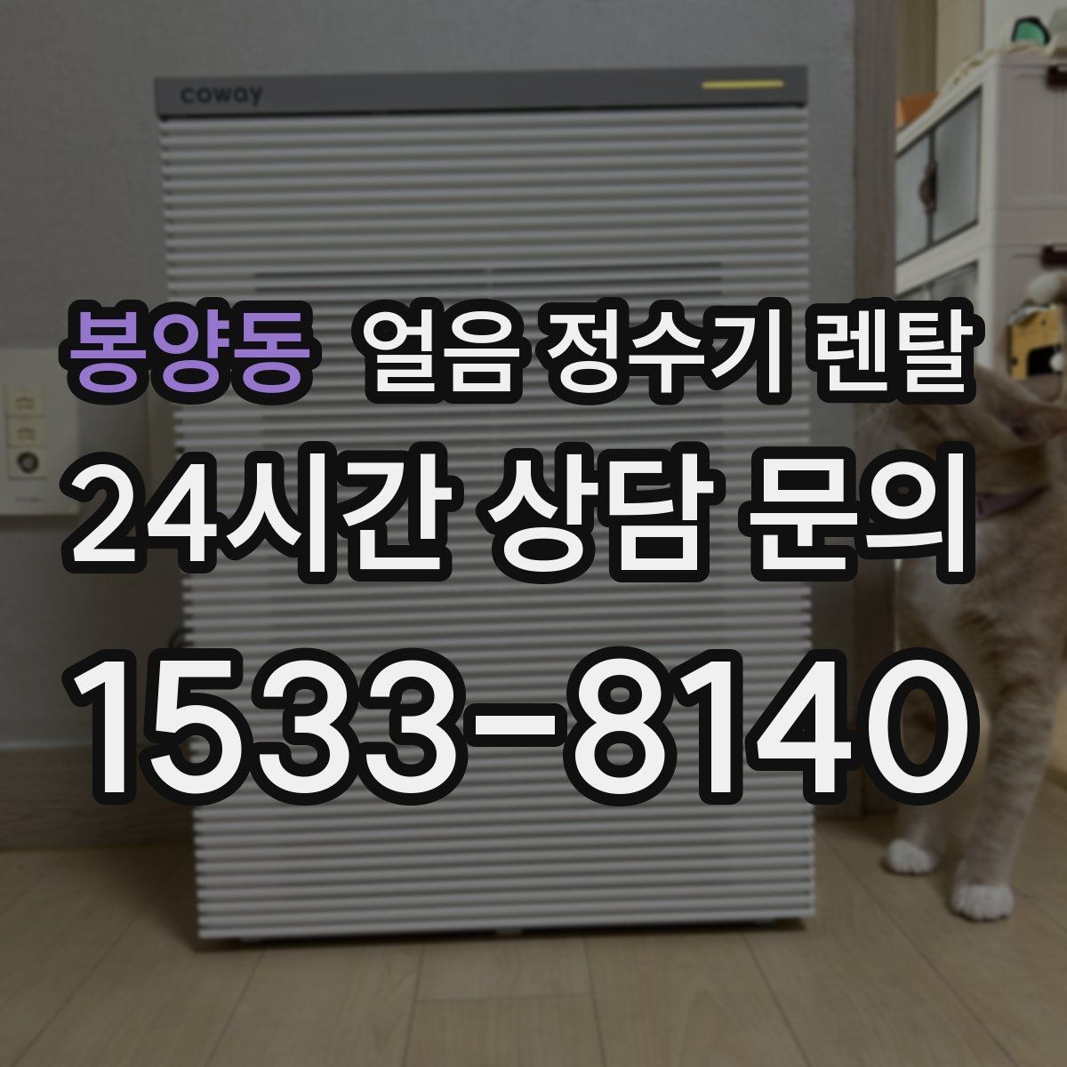 봉양동 얼음 정수기 렌탈 위생 걱정 덜고 얼음을 쓰는 방법