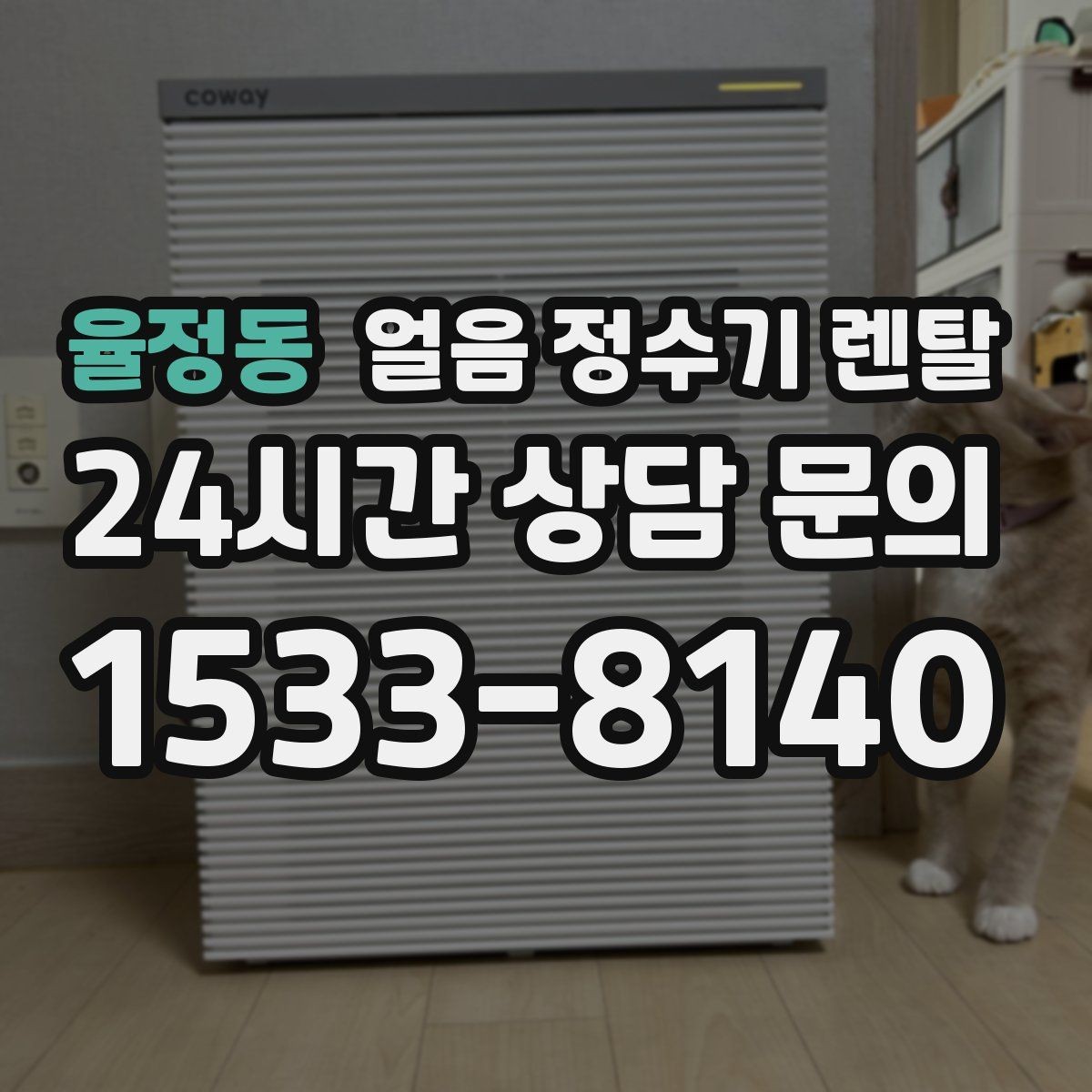 율정동 얼음 정수기 렌탈 얼음 저장고 냄새가 날 때 해결 방향