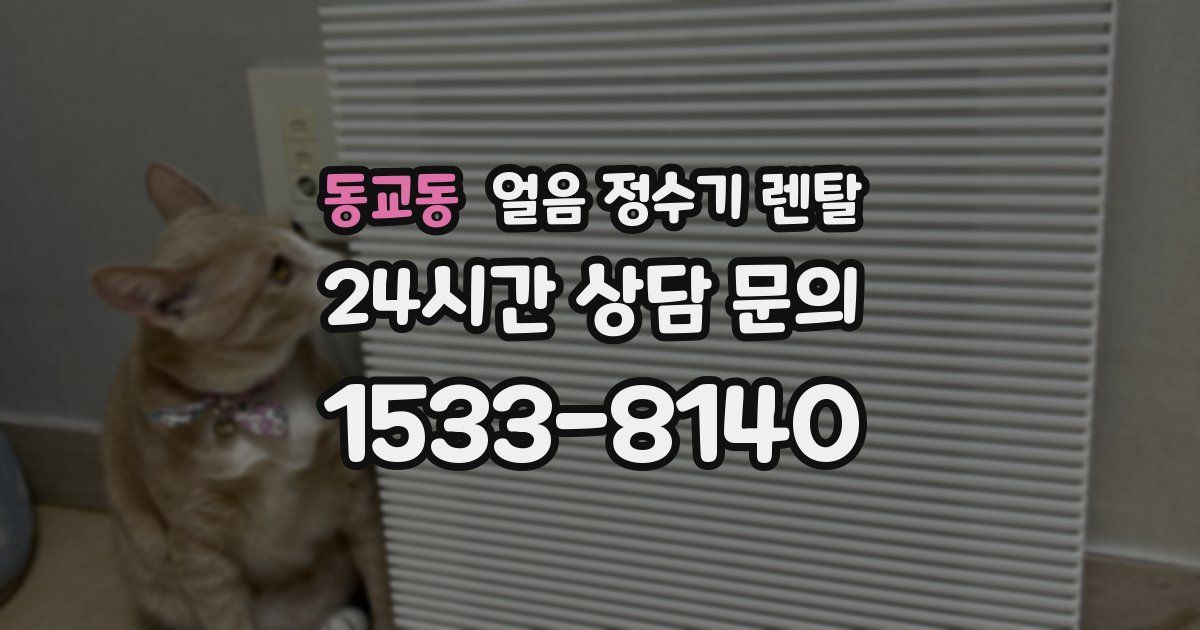 동교동 얼음 정수기 렌탈