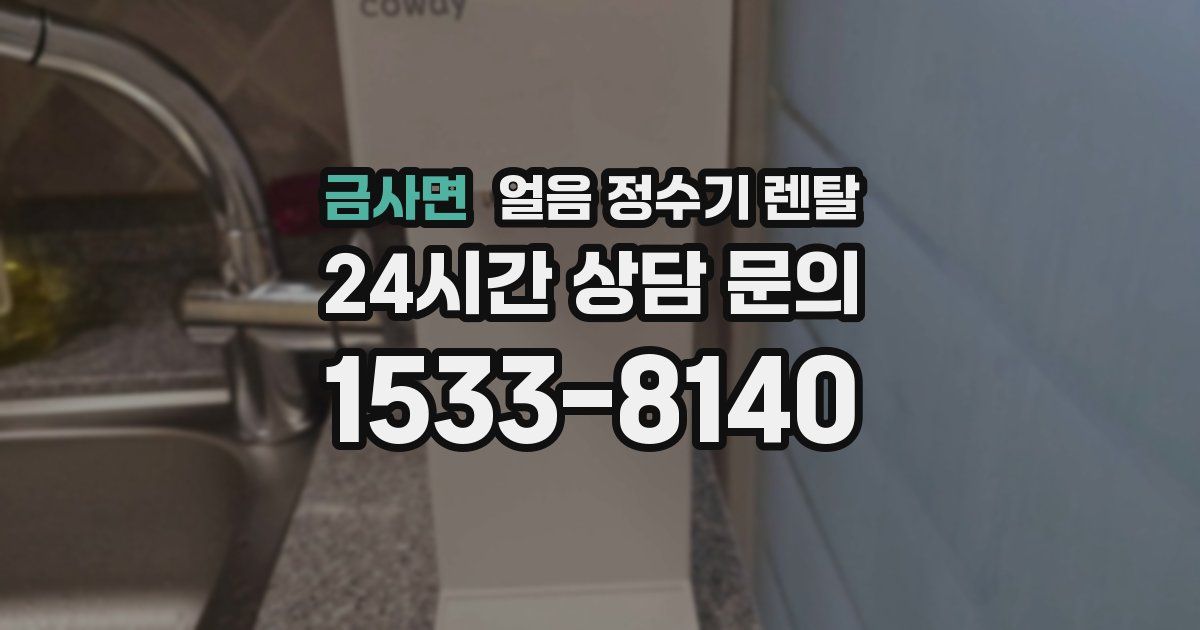 금사면 얼음 정수기 렌탈