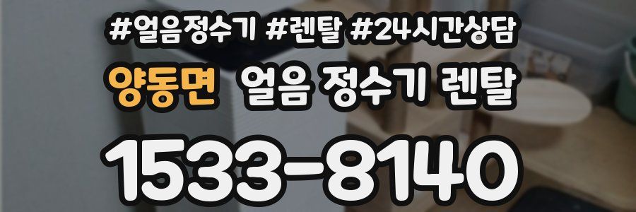 양동면 얼음 정수기 렌탈