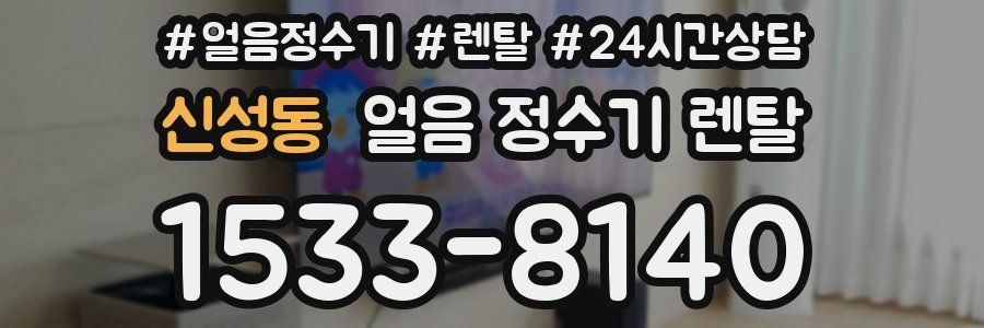 신성동 얼음 정수기 렌탈