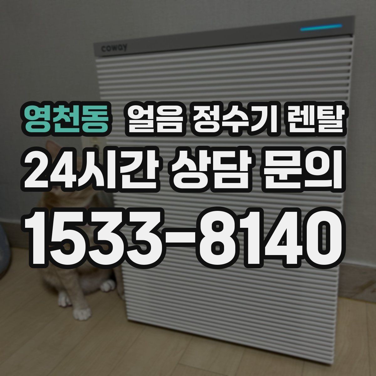 영천동 얼음 정수기 렌탈 햇빛 열기 많은 곳을 피해야 하는 이유