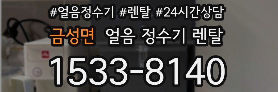 금성면 얼음 정수기 렌탈