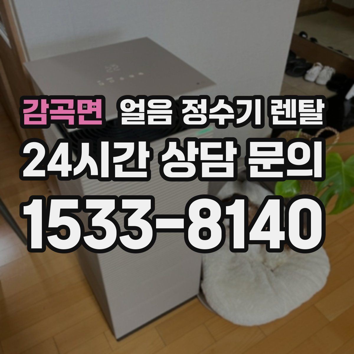 감곡면 얼음 정수기 렌탈 얼음이 투명하지 않아도 괜찮을까