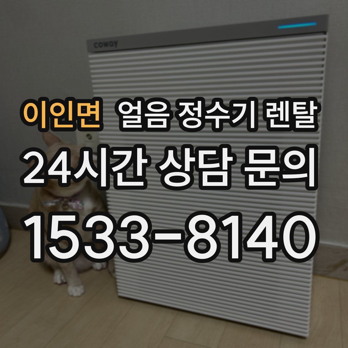 이인면 얼음 정수기 렌탈 얼음 출구 구조가 위생을 좌우하는 이유