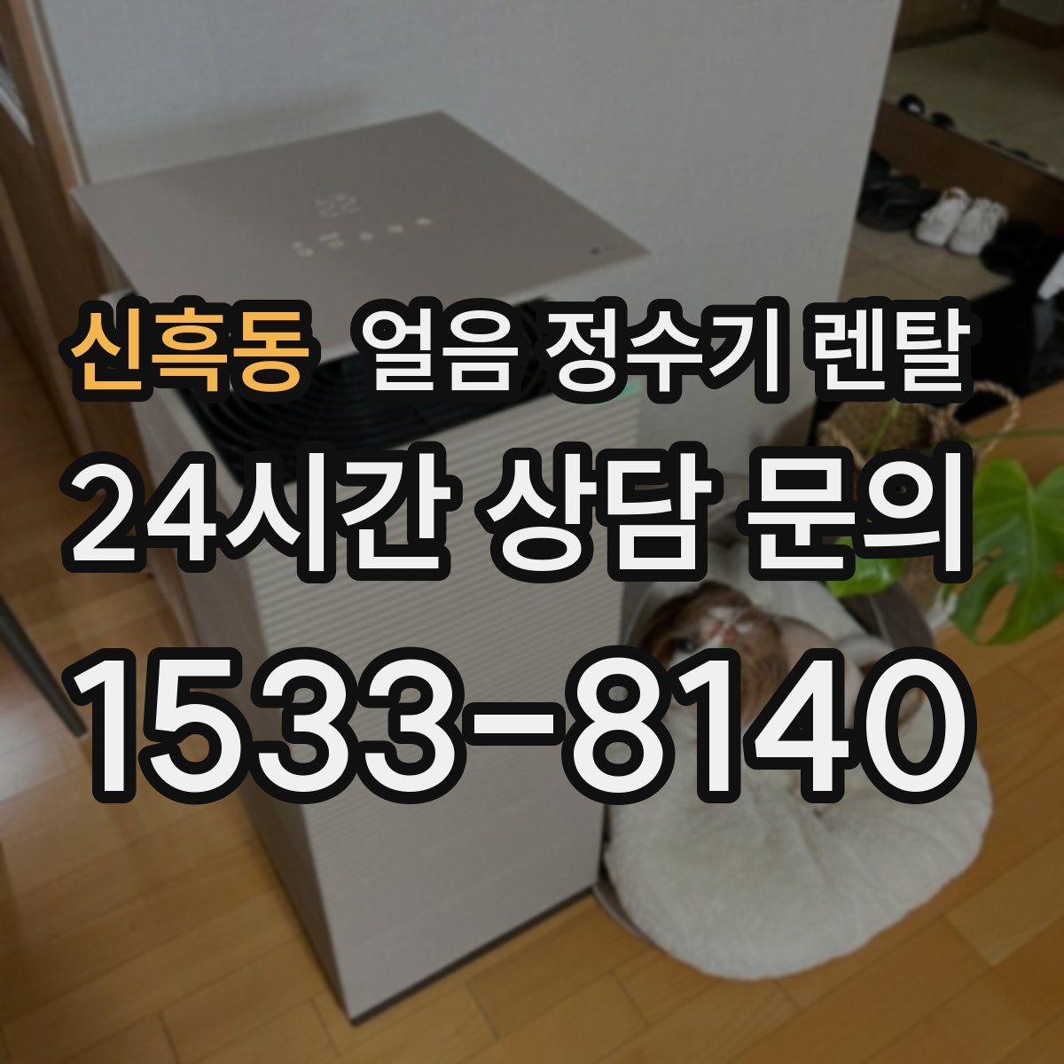 신흑동 얼음 정수기 렌탈