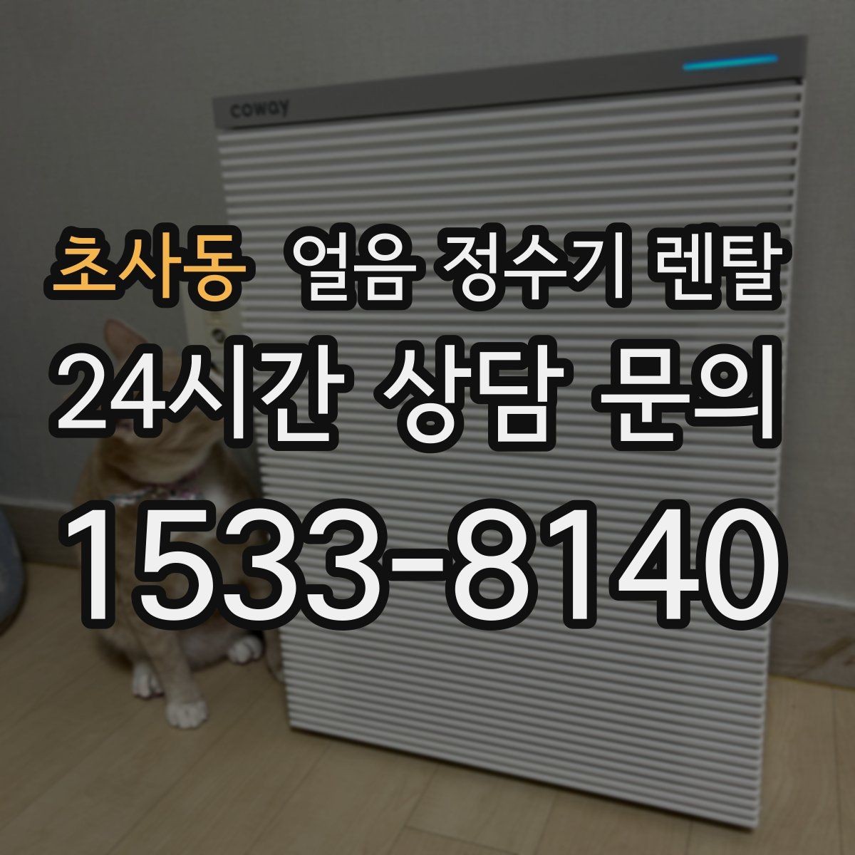 초사동 얼음 정수기 렌탈 손님 올 때 얼음 걱정 없는 집 만들기