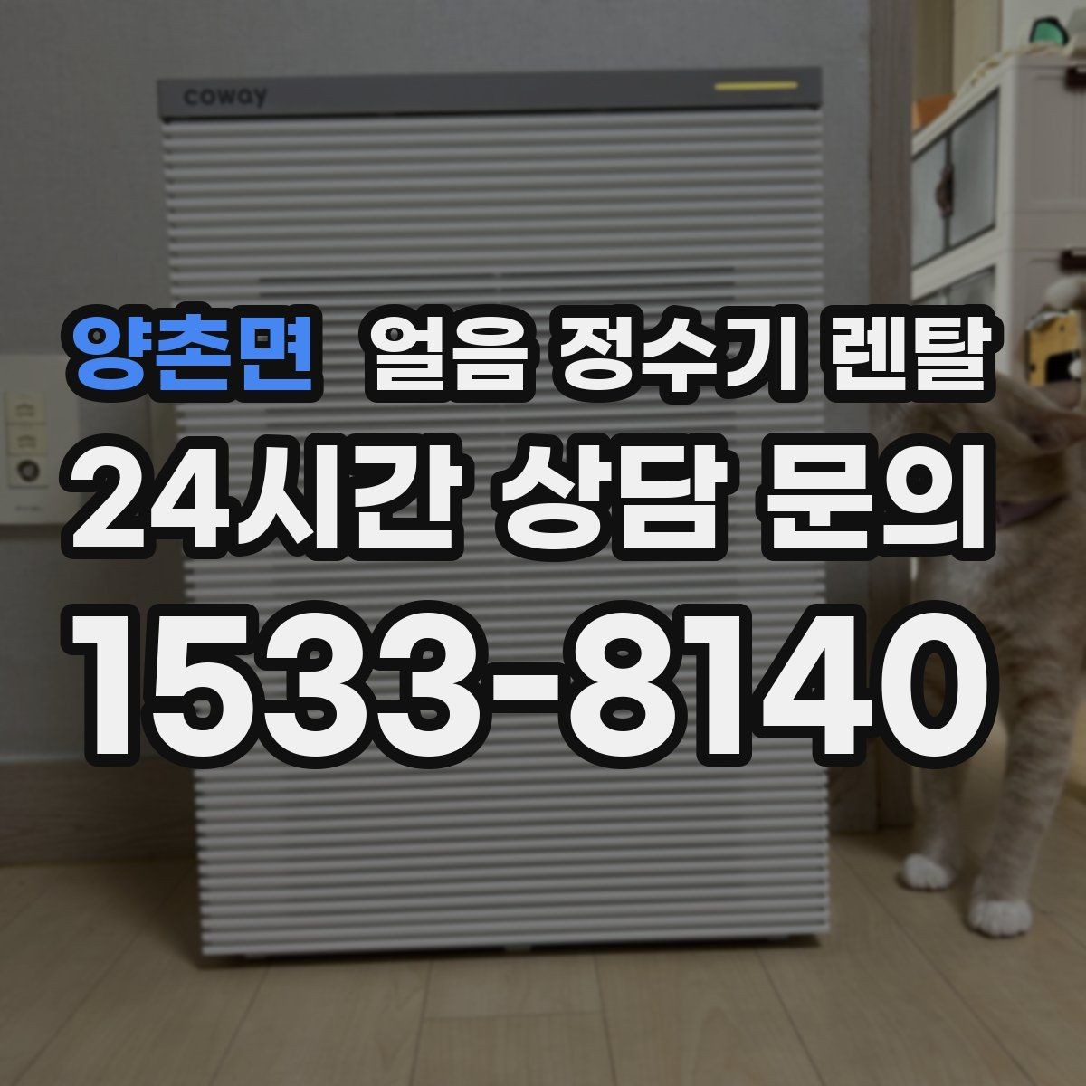 양촌면 얼음 정수기 렌탈 자주 묻는 질문과 답변으로 정리한 선택 QnA