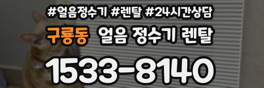 구룡동 얼음 정수기 렌탈