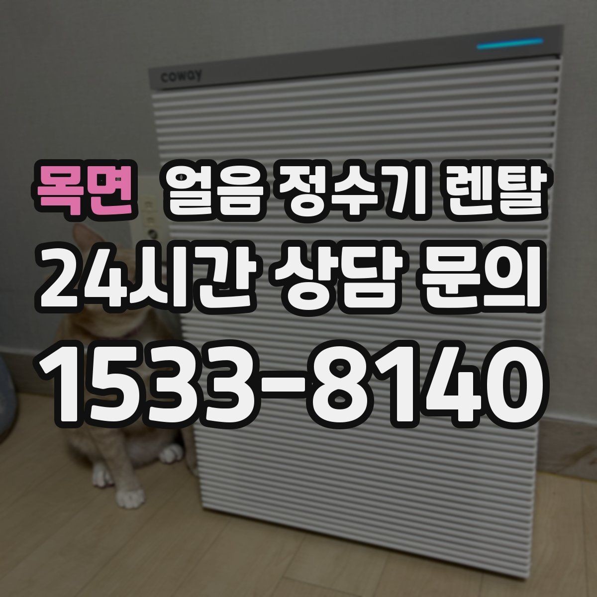 목면 얼음 정수기 렌탈 물맛이 예민하면 어떤 필터를 고를까