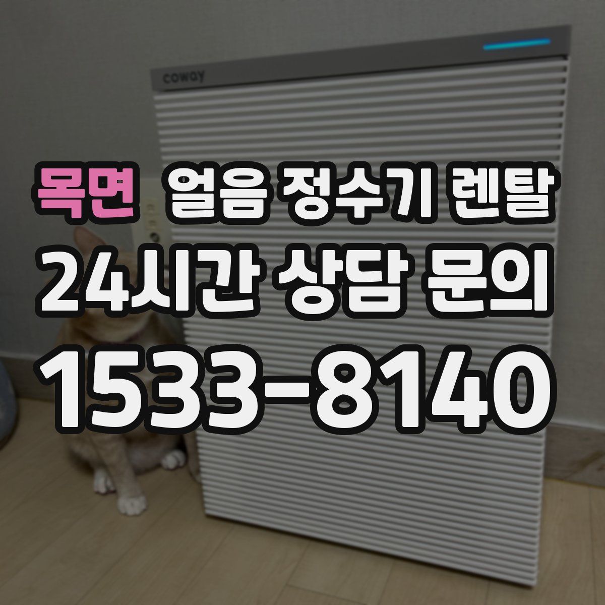 목면 얼음 정수기 렌탈