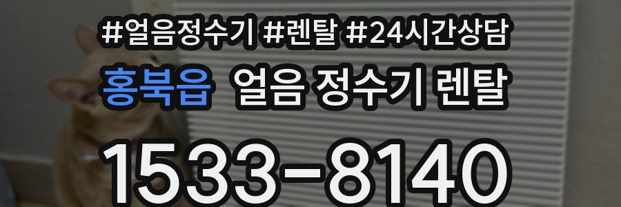 홍북읍 얼음 정수기 렌탈