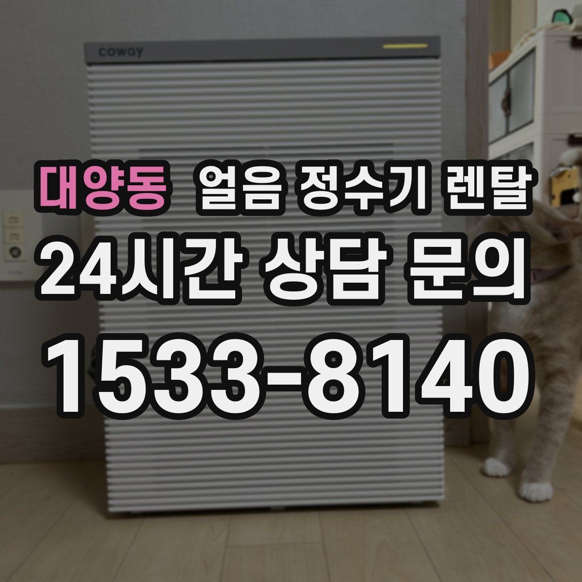 대양동 얼음 정수기 렌탈 코크 분리형이 위생에 유리한 이유