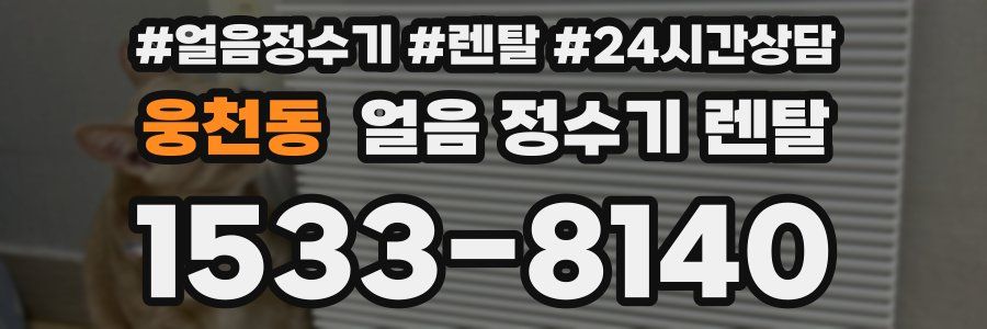 웅천동 얼음 정수기 렌탈