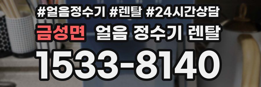 금성면 얼음 정수기 렌탈