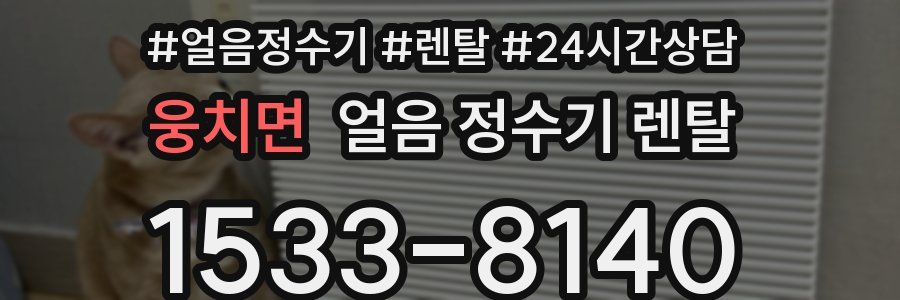 웅치면 얼음 정수기 렌탈