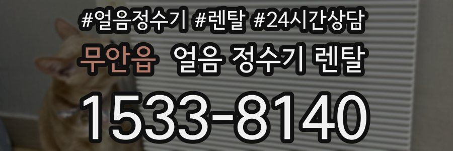 무안읍 얼음 정수기 렌탈