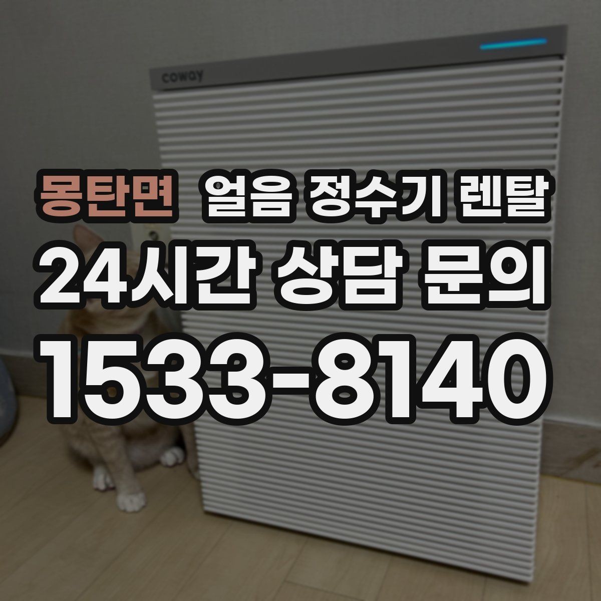 몽탄면 얼음 정수기 렌탈 약정(3년 5년) 선택으로 후회 줄이기