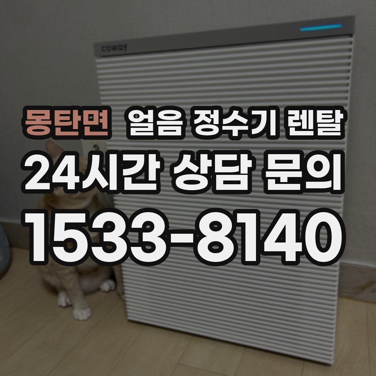 몽탄면 얼음 정수기 렌탈