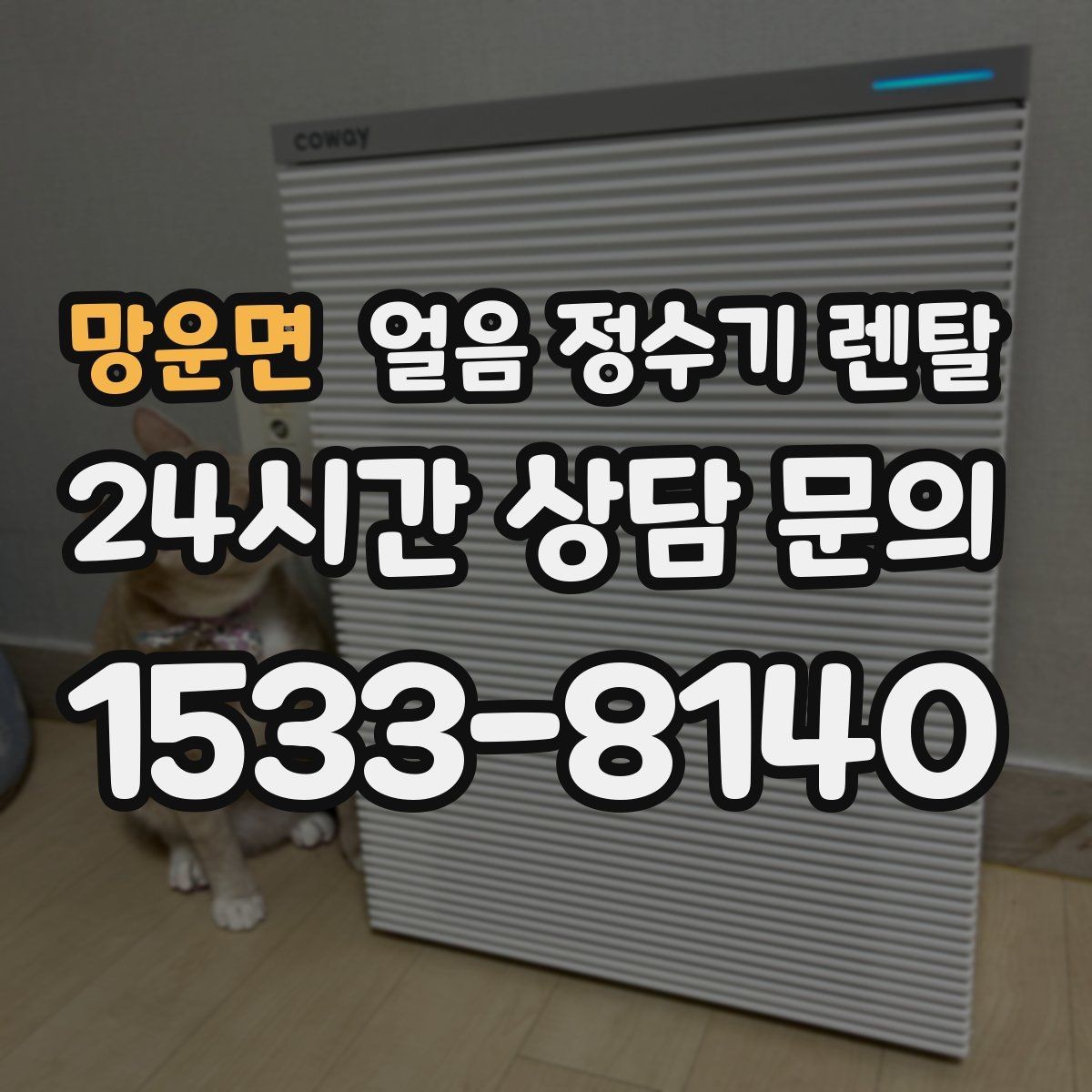 망운면 얼음 정수기 렌탈 위생 성능 비용까지 한 번에 정리했습니다