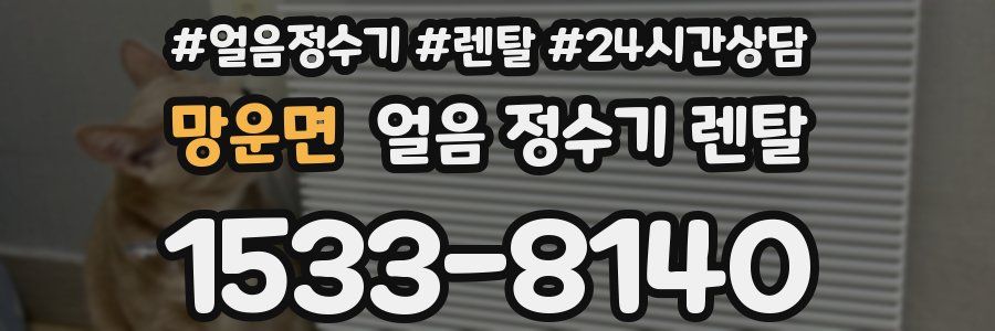 망운면 얼음 정수기 렌탈