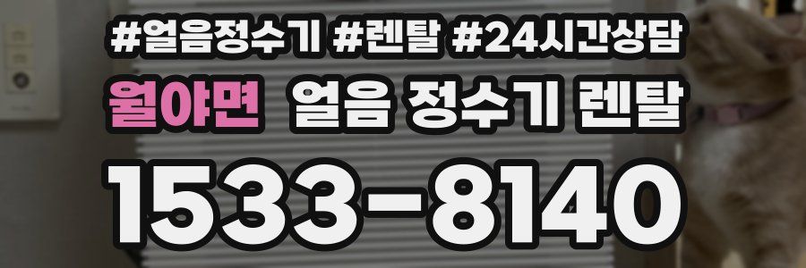 월야면 얼음 정수기 렌탈