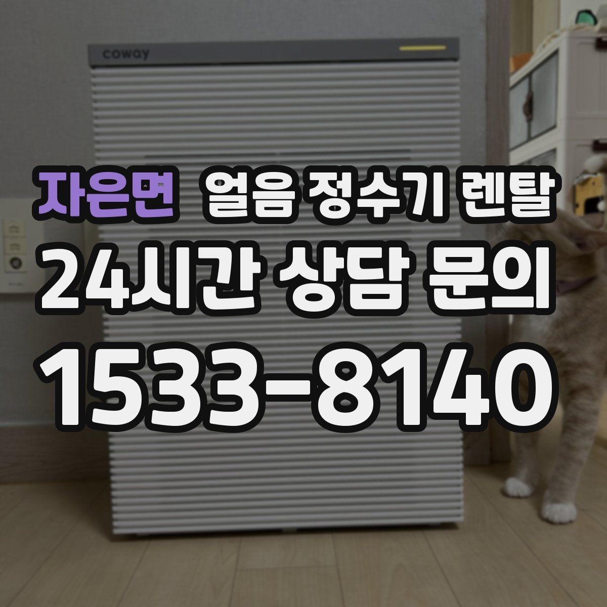 자은면 얼음 정수기 렌탈 얼음+물 한 번에 받는 기능이 편한 이유