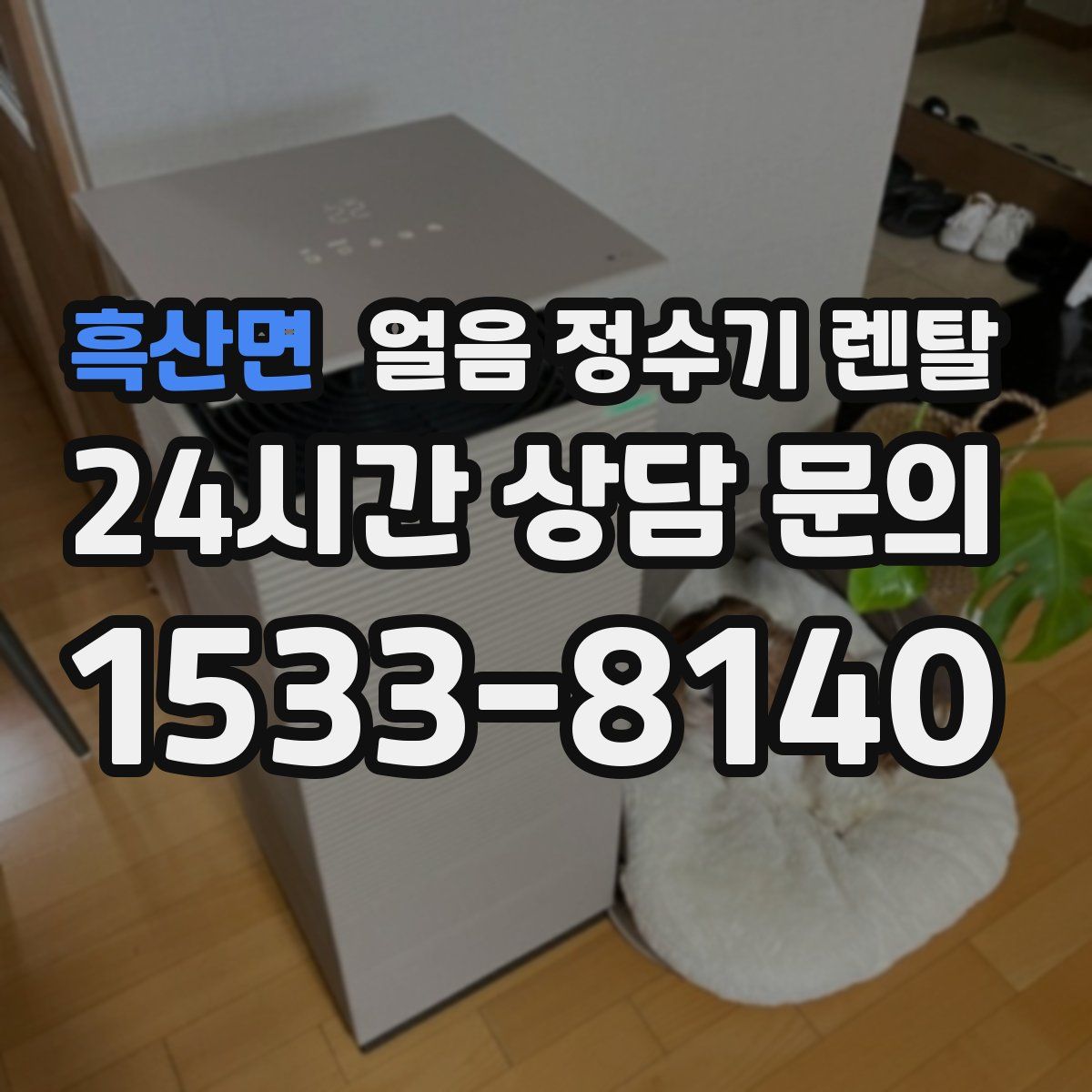 흑산면 얼음 정수기 렌탈