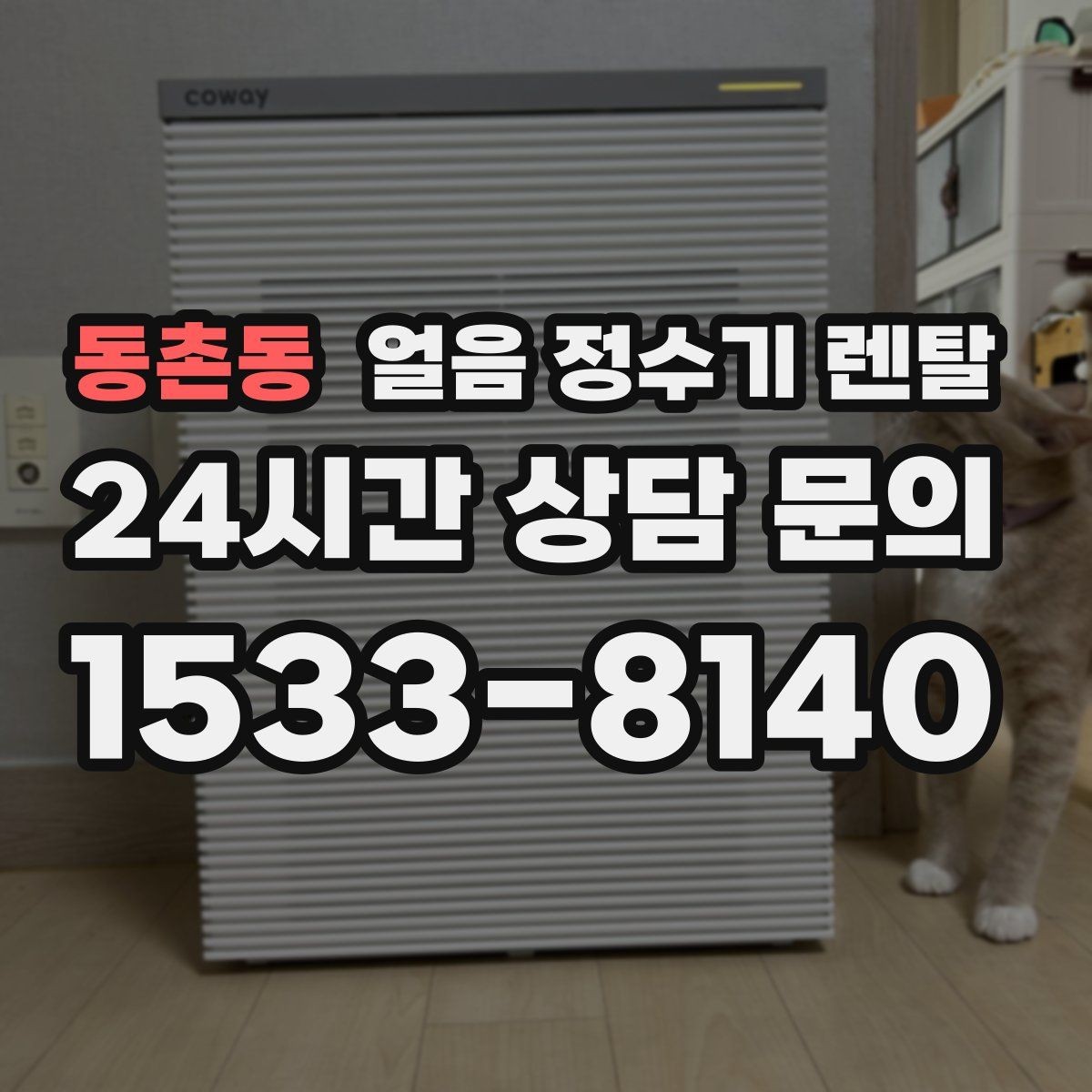동촌동 얼음 정수기 렌탈 하루 얼음 사용량으로 모델 고르는 법