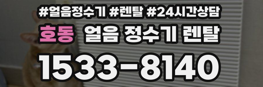 호동 얼음 정수기 렌탈