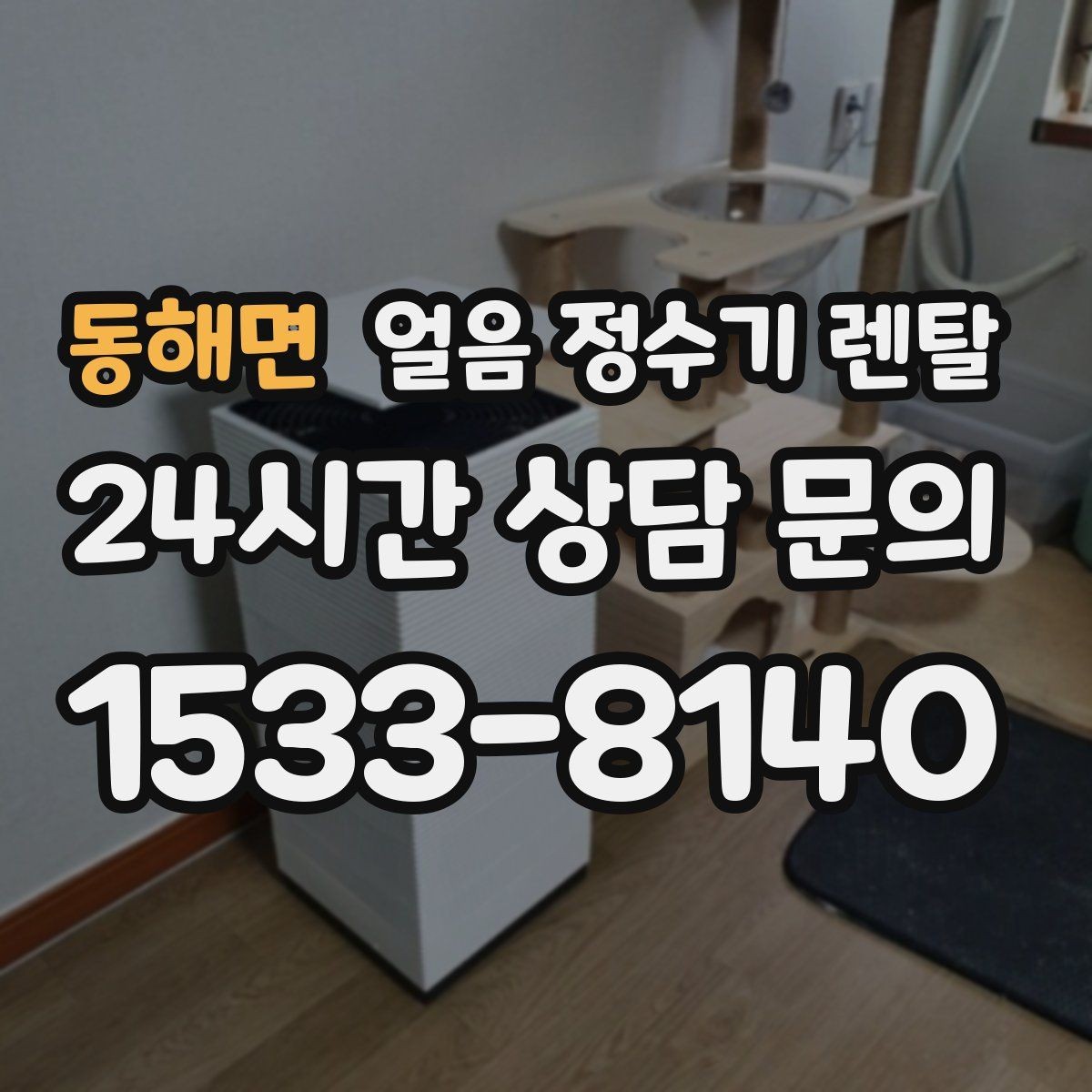 동해면 얼음 정수기 렌탈 냉동실 얼음 대신 위생이 좋아지는 이유