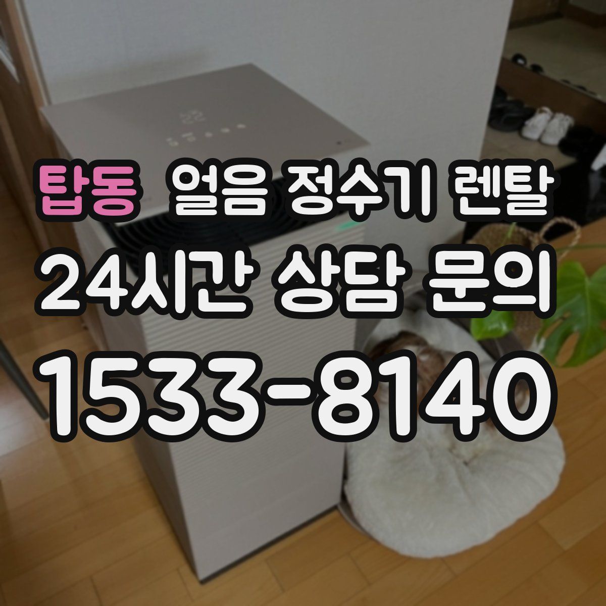 탑동 얼음 정수기 렌탈