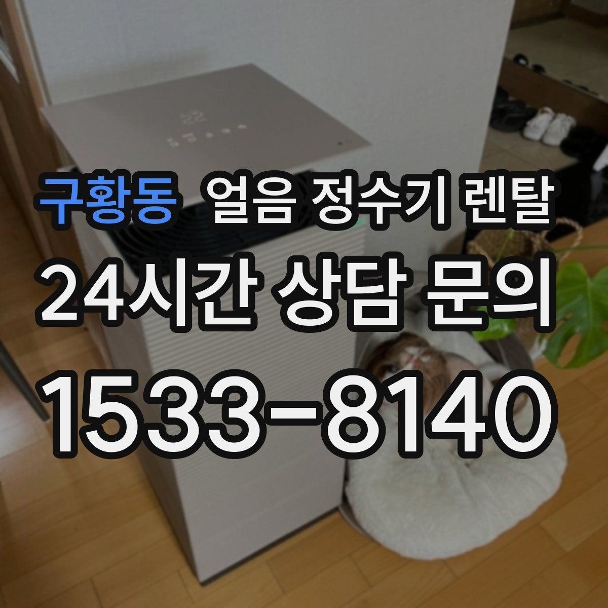 구황동 얼음 정수기 렌탈 얼음틀 세척이 번거로울 때 해결책