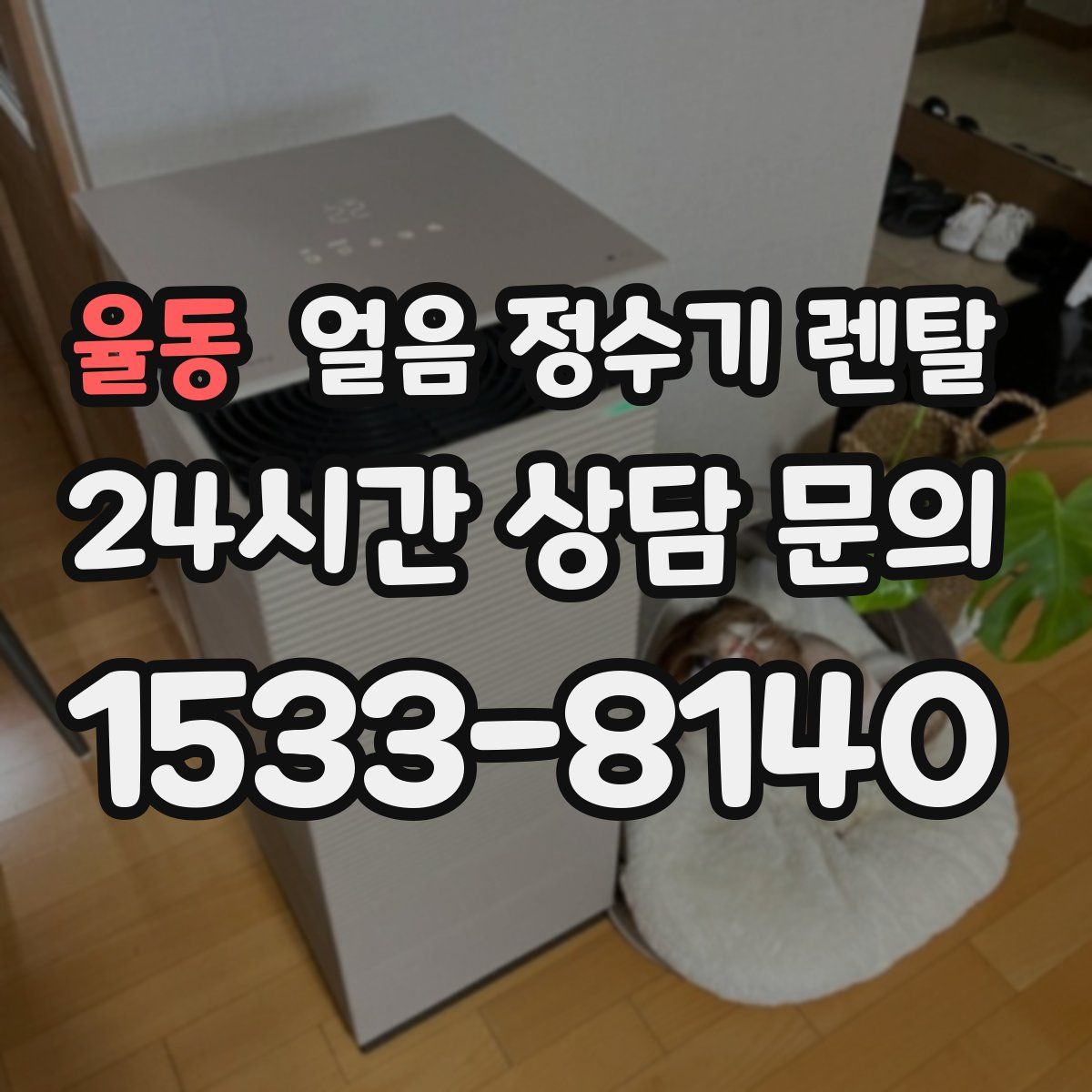 율동 얼음 정수기 렌탈