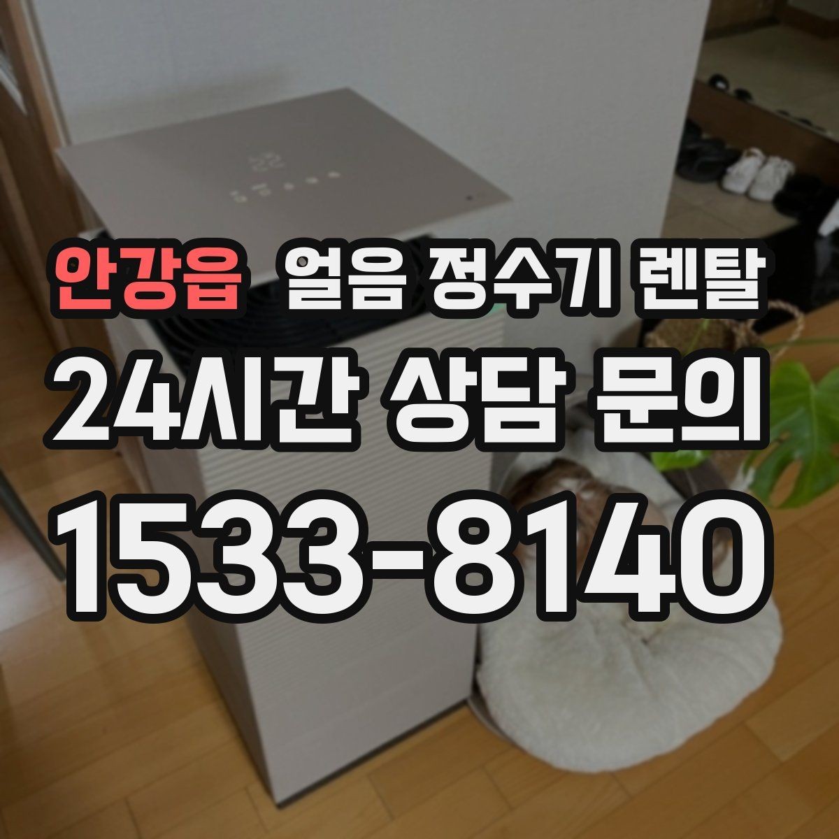 안강읍 얼음 정수기 렌탈 얼음에서 냉동실 냄새가 나는 이유 정리