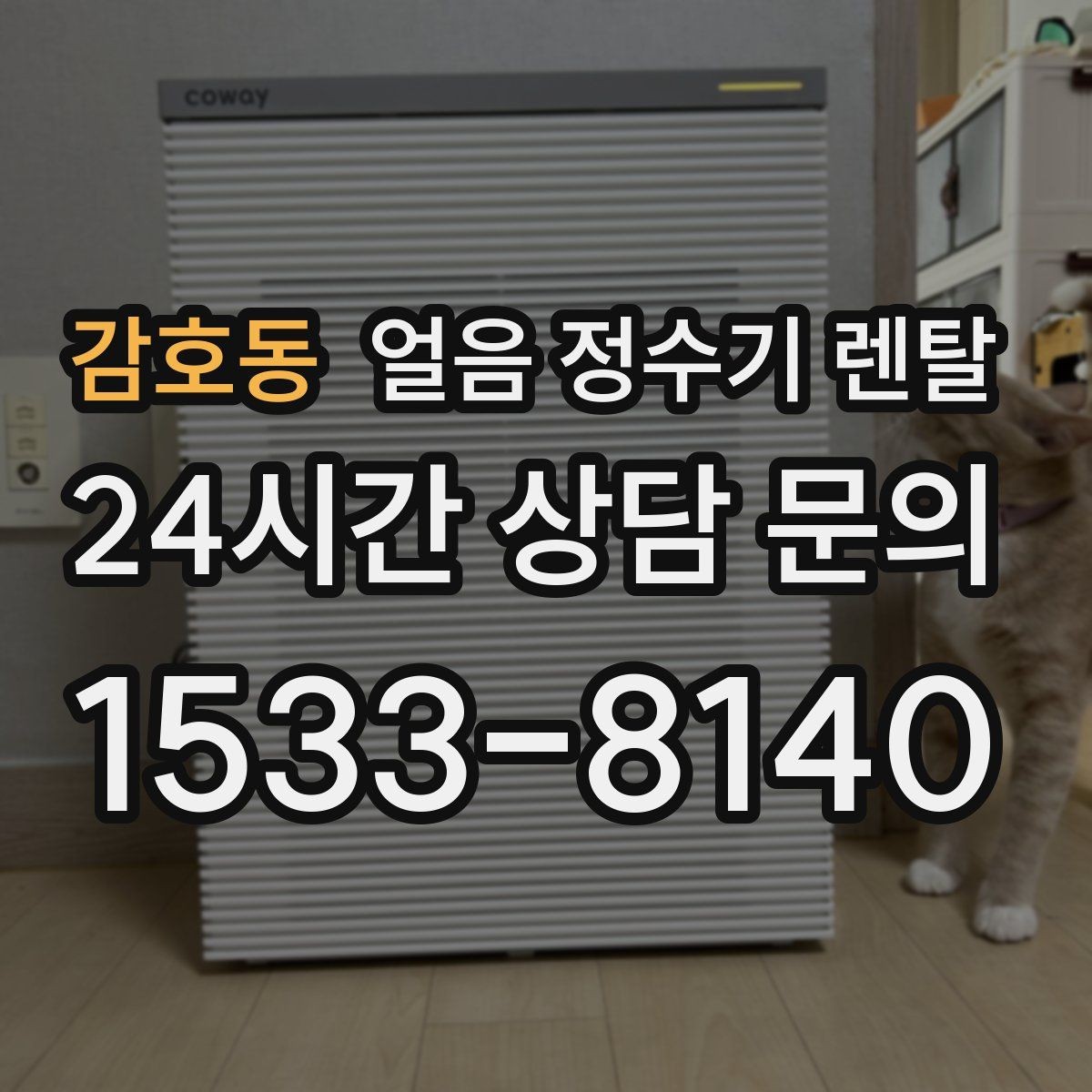감호동 얼음 정수기 렌탈 설치 위치 추천과 피해야 할 위치