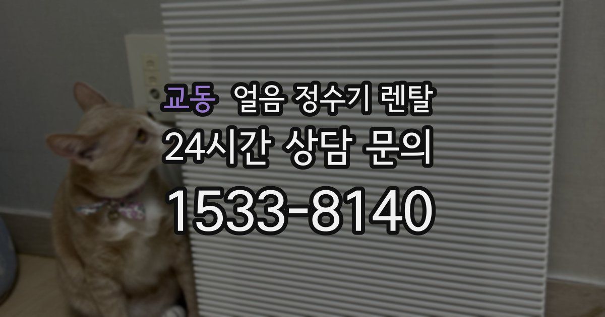 교동 얼음 정수기 렌탈