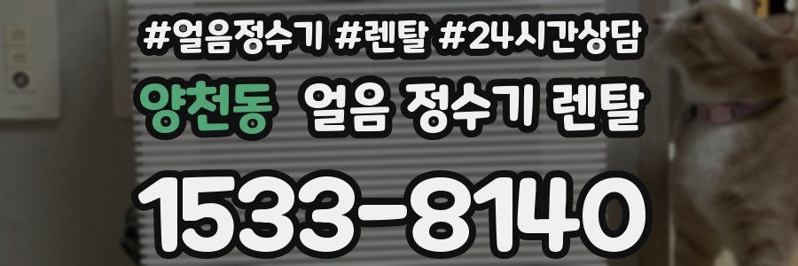 양천동 얼음 정수기 렌탈