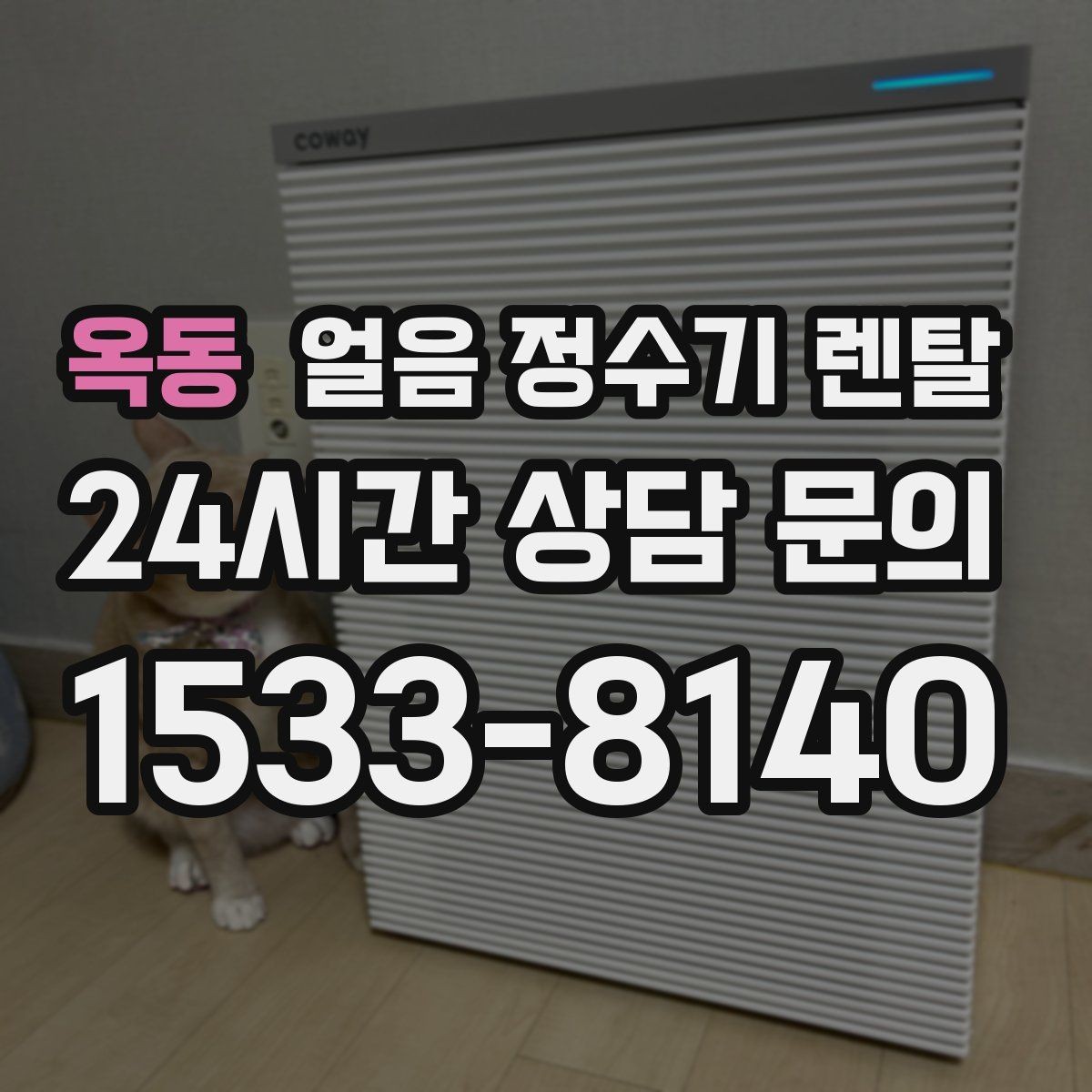 옥동 얼음 정수기 렌탈 냉수 성능과 제빙 성능을 함께 보는 법
